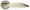 TAURUS-LD65