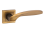 Z-1325 BN SBN